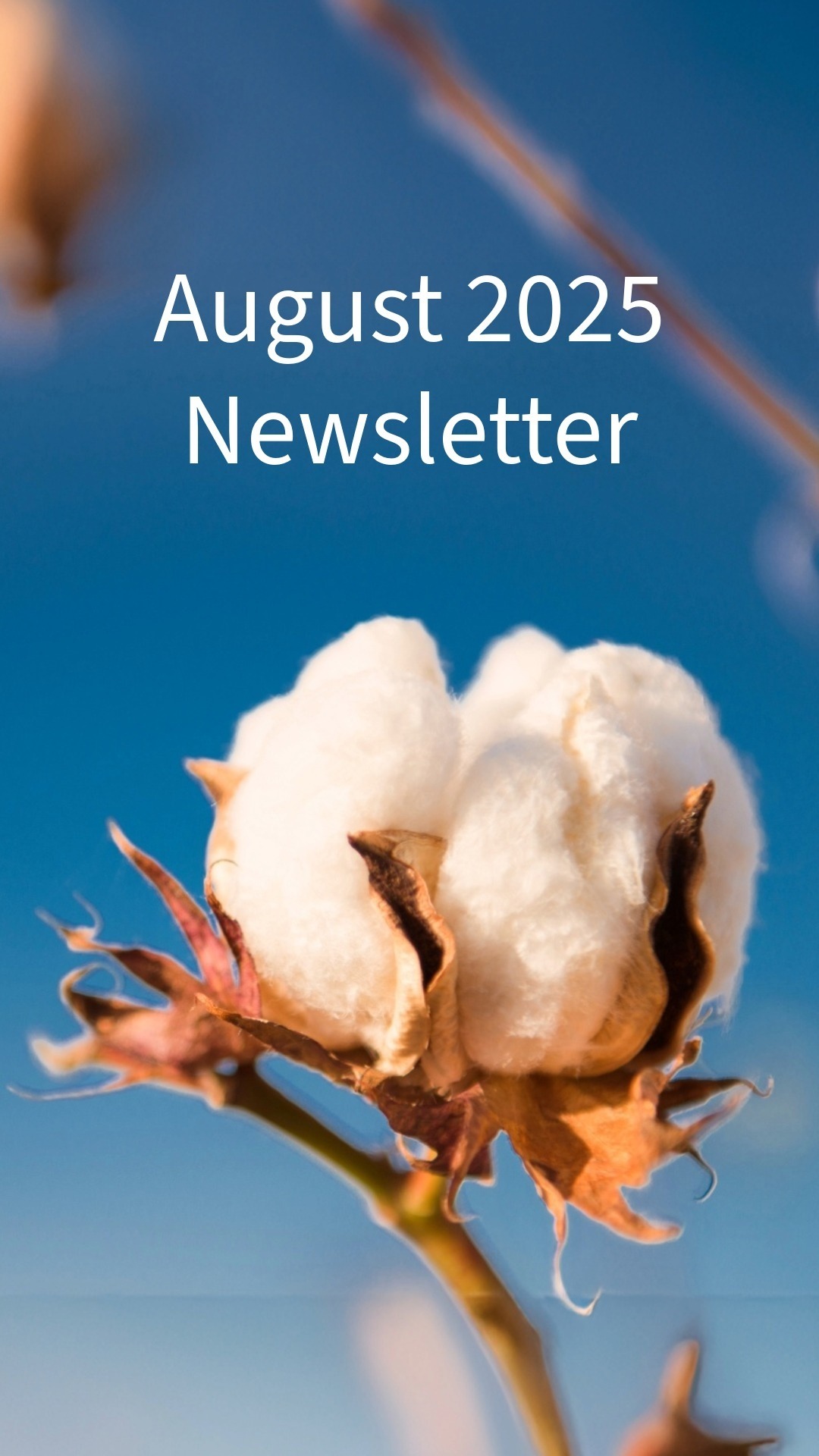 August 2025 Newsletter